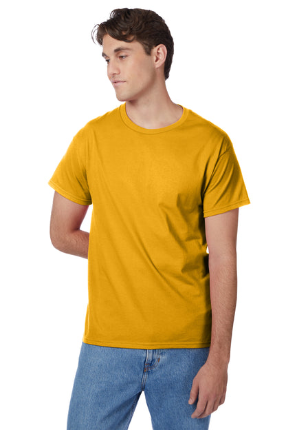 Hanes Authentic-T T-Shirt - 5250
